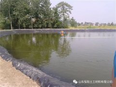 大家為什么如此的喜愛(ài)魚塘防滲膜？